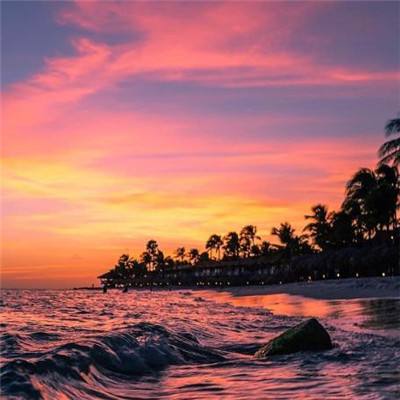 澳门精准正版资料大全下载手机版