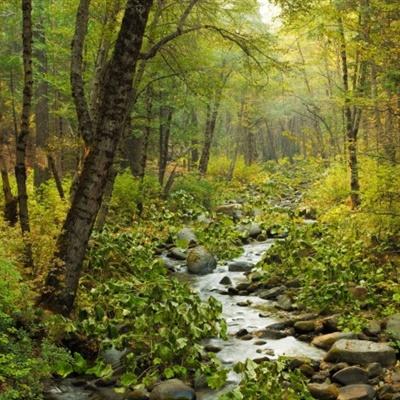 幸运彩票最新版app