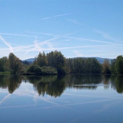 美高梅网址app下载