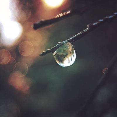 双赢彩票官方网站手机app下载截图