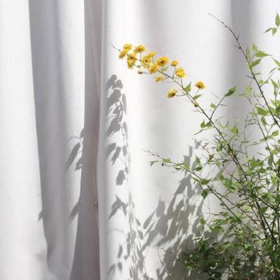 娱乐宝官网app下载