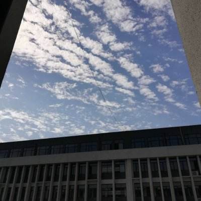 一码一肖100准资料应用手机app下载截图